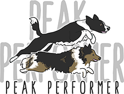 Peak Performer – Online Classes for Puppies, Young Dogs and Agility